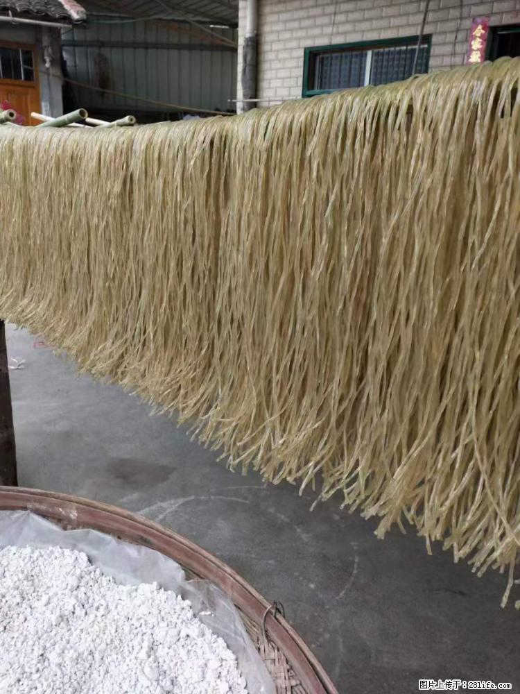 【灌阳正宗红薯粉】美女家里自己做的，干净卫生，假一赔十，价格合理，抢购电话：13737312895 - 美食天地 - 马鞍山生活社区 - 马鞍山28生活网 mas.28life.net