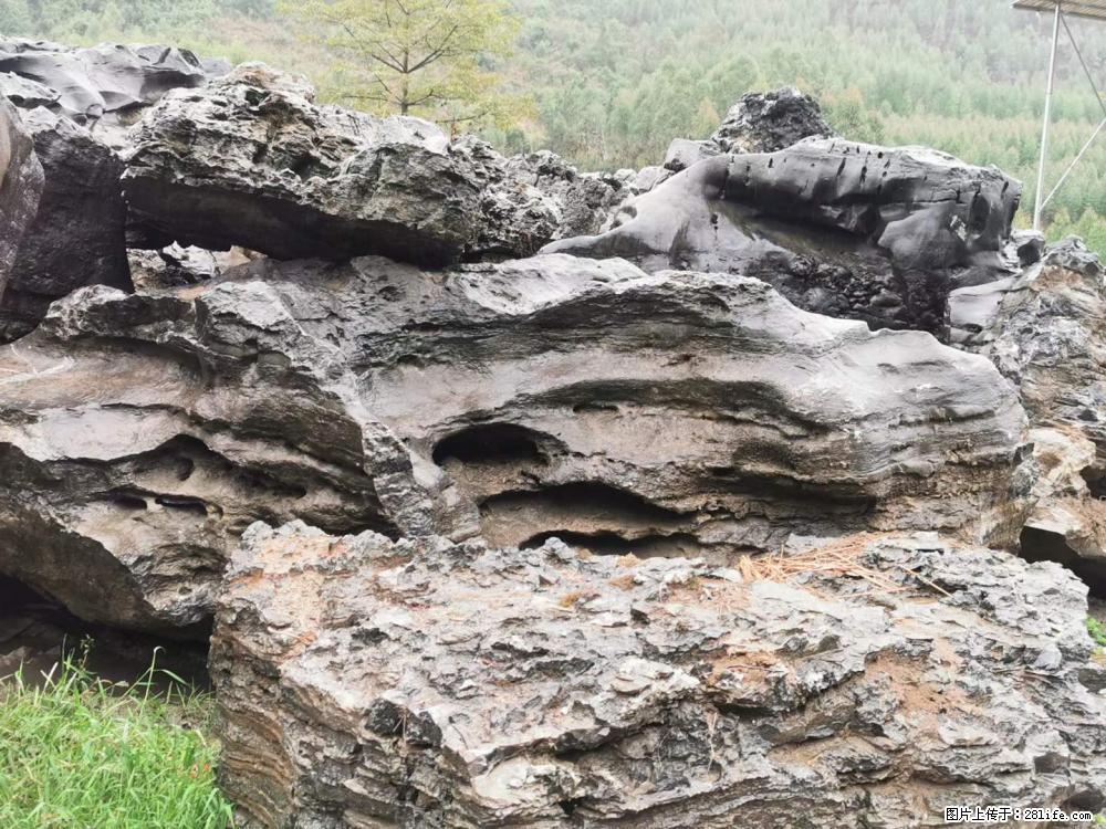 风景石、假山石大量有货，有需要的欢迎联系 - 新手上路 - 马鞍山生活社区 - 马鞍山28生活网 mas.28life.net