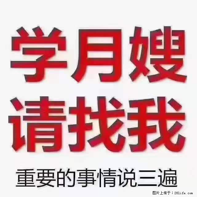 为什么要学习月嫂，育婴师？ - 其他广告 - 广告专区 - 马鞍山分类信息 - 马鞍山28生活网 mas.28life.net