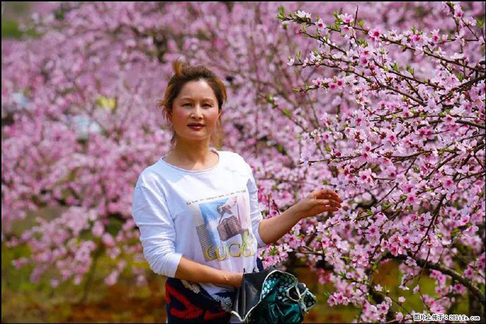 【春天，广西桂林灌阳县向您发出邀请！】官庄村有个醉美的桃花园 - 游山玩水 - 马鞍山生活社区 - 马鞍山28生活网 mas.28life.net