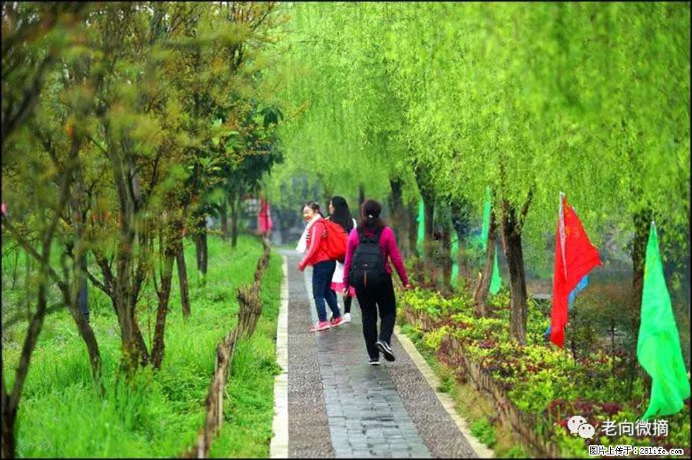 【春天，广西桂林灌阳县向您发出邀请！】江口老街又逢春 - 游山玩水 - 马鞍山生活社区 - 马鞍山28生活网 mas.28life.net