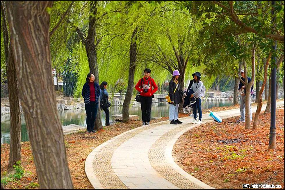 【春天，广西桂林灌阳县向您发出邀请！】江口老街又逢春 - 游山玩水 - 马鞍山生活社区 - 马鞍山28生活网 mas.28life.net