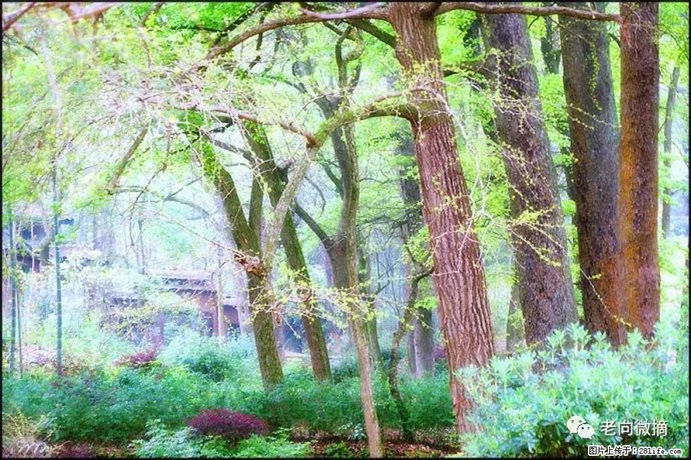 【春天，广西桂林灌阳县向您发出邀请！】在小龙村与春天约会 - 游山玩水 - 马鞍山生活社区 - 马鞍山28生活网 mas.28life.net