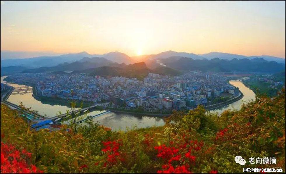【春天，广西桂林灌阳县向您发出邀请！】登麒麟山，相约映山红 - 游山玩水 - 马鞍山生活社区 - 马鞍山28生活网 mas.28life.net