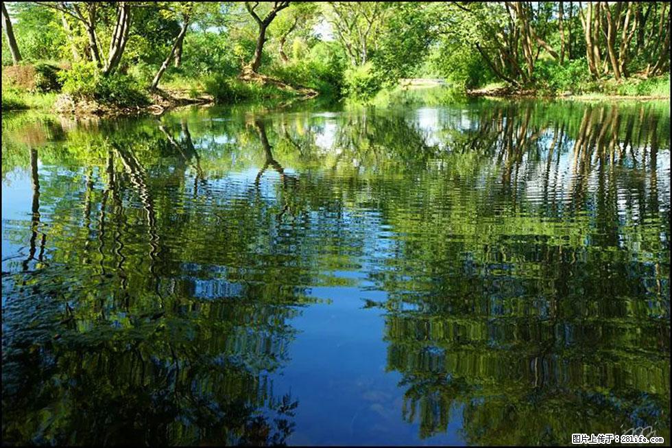 【春天，广西桂林灌阳县向您发出邀请！】熊家寨湿地公园 - 游山玩水 - 马鞍山生活社区 - 马鞍山28生活网 mas.28life.net