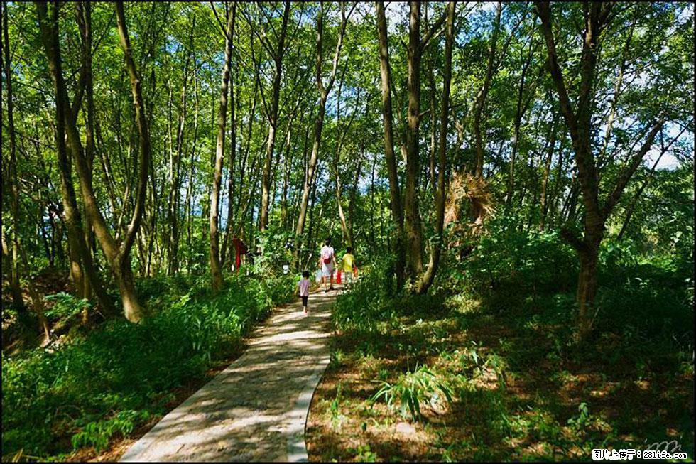 【春天，广西桂林灌阳县向您发出邀请！】熊家寨湿地公园 - 游山玩水 - 马鞍山生活社区 - 马鞍山28生活网 mas.28life.net