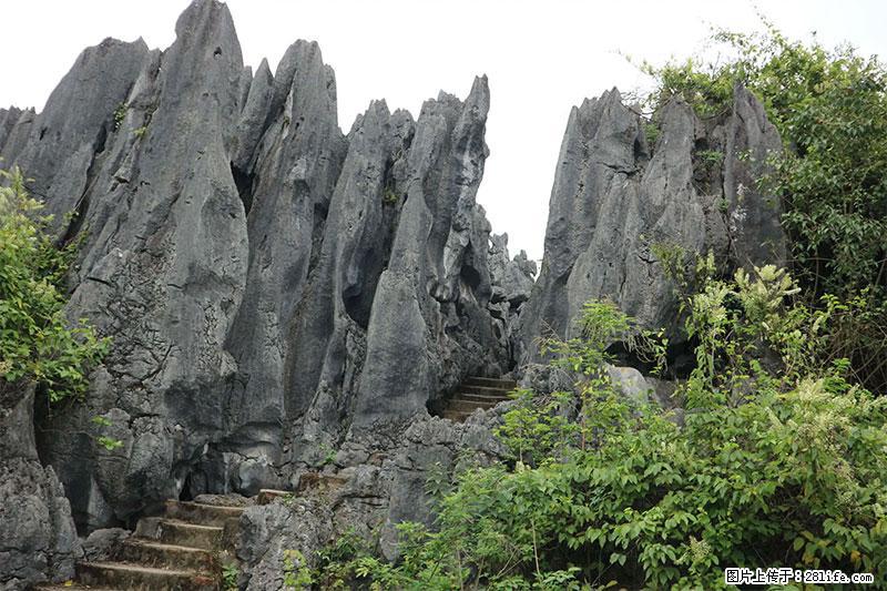 桂林旅游名城景点：灌阳文市石林 - 游山玩水 - 马鞍山生活社区 - 马鞍山28生活网 mas.28life.net