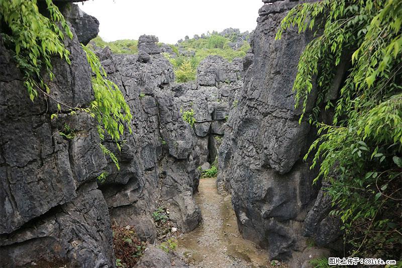 桂林旅游名城景点：灌阳文市石林 - 游山玩水 - 马鞍山生活社区 - 马鞍山28生活网 mas.28life.net