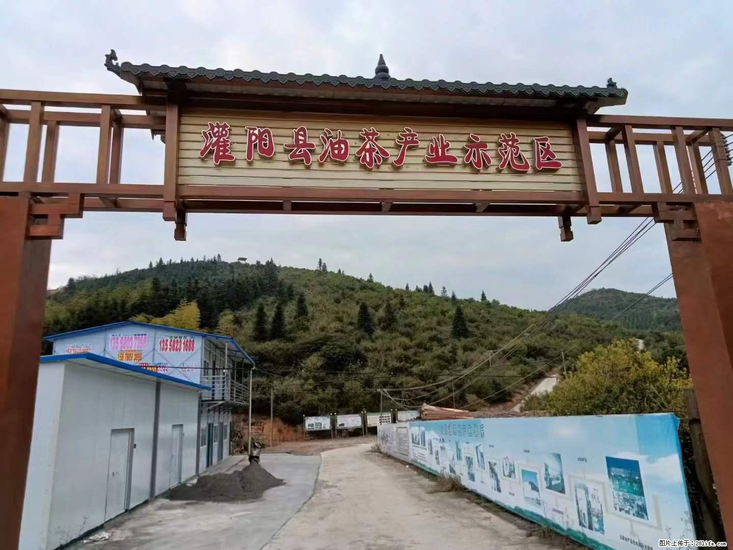 【灌阳县油茶产业示范区】一个有着充实的精神生活的人，对待身外之物自会有一种淡泊的态度 - 美食天地 - 马鞍山生活社区 - 马鞍山28生活网 mas.28life.net