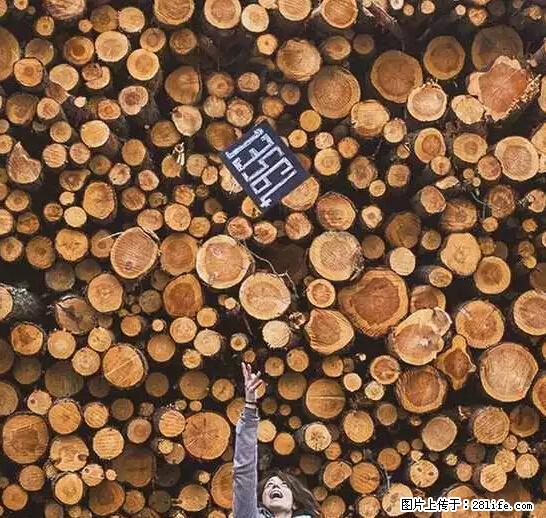 辞掉工作周游世界？现在他们在洗厕所…… - 游山玩水 - 马鞍山生活社区 - 马鞍山28生活网 mas.28life.net