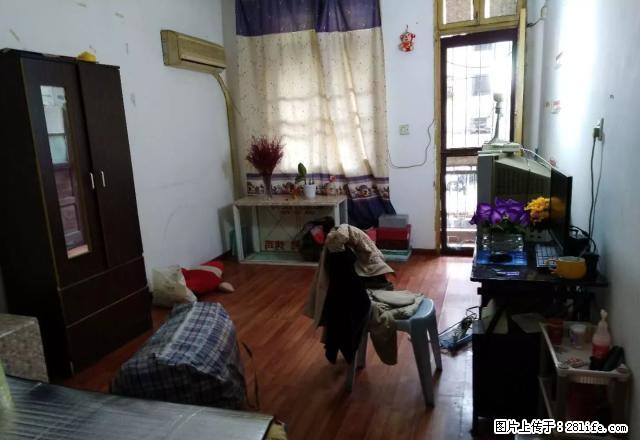 出租红星村，一室一厅，中装，650元 - 房屋出租 - 房屋租售 - 马鞍山分类信息 - 马鞍山28生活网 mas.28life.net