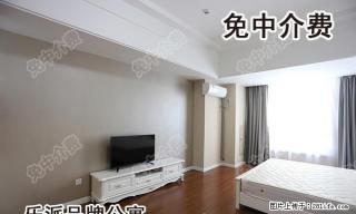 精装修万达公寓，人文住宅，时尚生活的选择，欧式全新家具家电 - 马鞍山28生活网 mas.28life.net