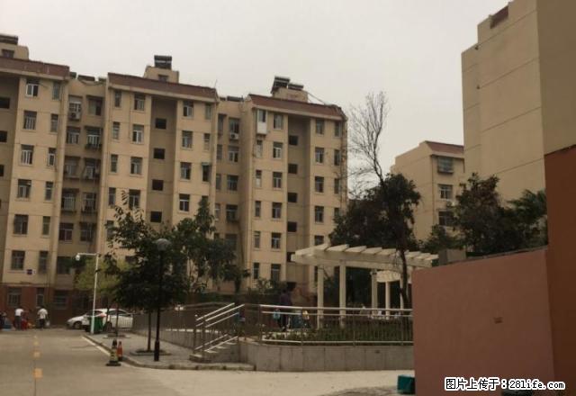 东苑小区2室您等什么,有比这更便宜的吗 - 房屋出租 - 房屋租售 - 马鞍山分类信息 - 马鞍山28生活网 mas.28life.net