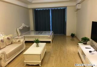 精装欧式公寓，可拎包入住，可短租 - 马鞍山28生活网 mas.28life.net