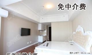 酒店式公寓，五星的入住体验，拎包即可入住，欧式风格装修 - 马鞍山28生活网 mas.28life.net