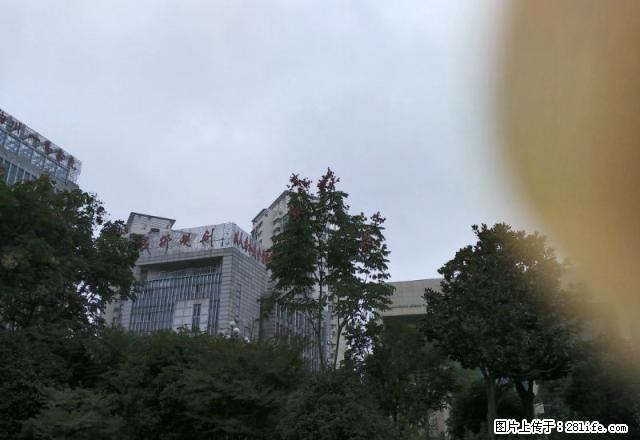 映翠花园两室一厅75平方米毛坯房好房出租 - 房屋出租 - 房屋租售 - 马鞍山分类信息 - 马鞍山28生活网 mas.28life.net