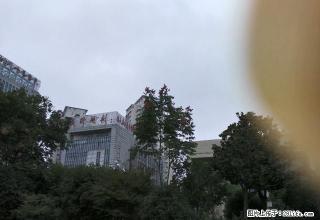 鹊桥小区两室一厅57平方米中等装修好房出租 - 马鞍山28生活网 mas.28life.net