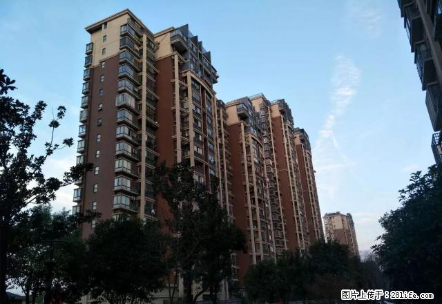 汇成上东简单装修房屋出租，电话联系，随时看房！！！ - 房屋出租 - 房屋租售 - 马鞍山分类信息 - 马鞍山28生活网 mas.28life.net