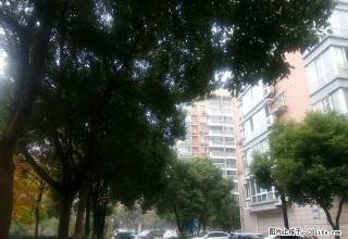 大润发商圈湖南新村两室一厅精装修住房出租 - 马鞍山28生活网 mas.28life.net