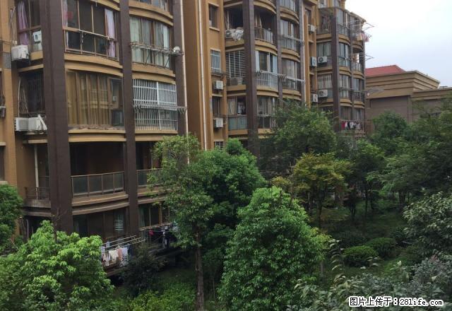 小朱 大北庄 桃园路桃花村 二楼好房出租 家具家电齐全 - 房屋出租 - 房屋租售 - 马鞍山分类信息 - 马鞍山28生活网 mas.28life.net