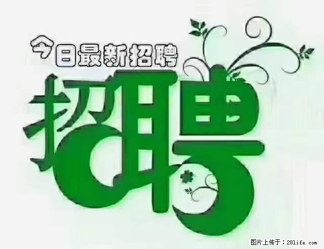 上海隔离酒店招人：55岁以下 男女不限 - 职场交流 - 马鞍山生活社区 - 马鞍山28生活网 mas.28life.net
