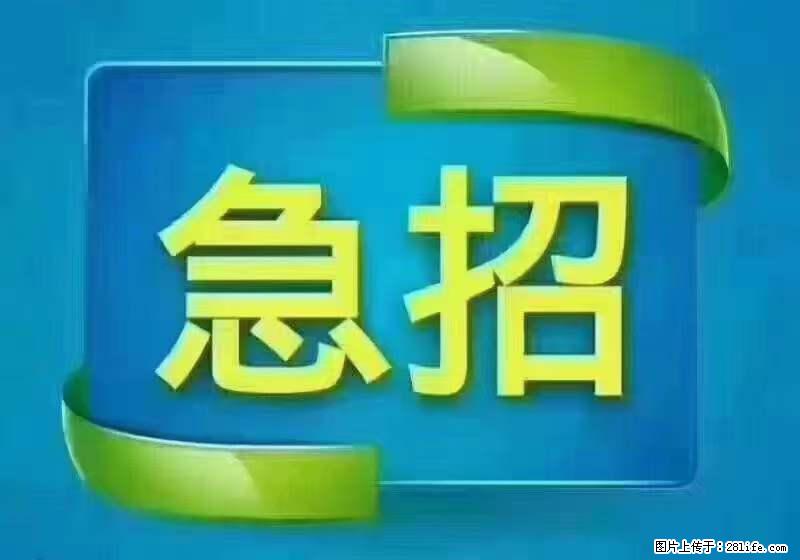 招出纳8000元/月，无证可以，要有相关经验，上海五险一金，包住，包工作餐，做六休一。 - 职场交流 - 马鞍山生活社区 - 马鞍山28生活网 mas.28life.net