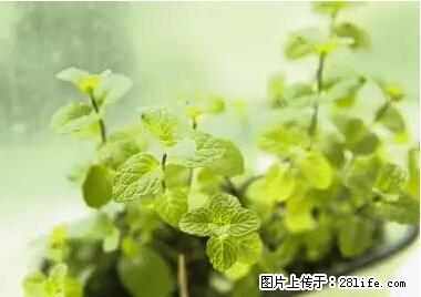 晕车、脚气、牙齿变黄、皮肤粗糙？学会这些三分钟搞定！ - 马鞍山生活资讯 - 马鞍山28生活网 mas.28life.net