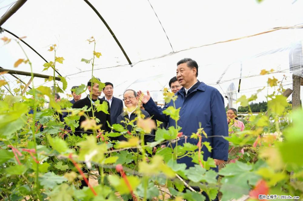 习近平赴广西考察调研 - 马鞍山生活资讯 - 马鞍山28生活网 mas.28life.net
