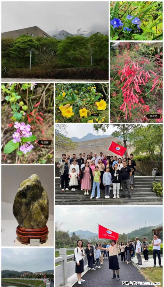 “粤灌文化 美好生活”油茶文化主题活动在广东深圳成功举办 - 马鞍山生活资讯 - 马鞍山28生活网 mas.28life.net