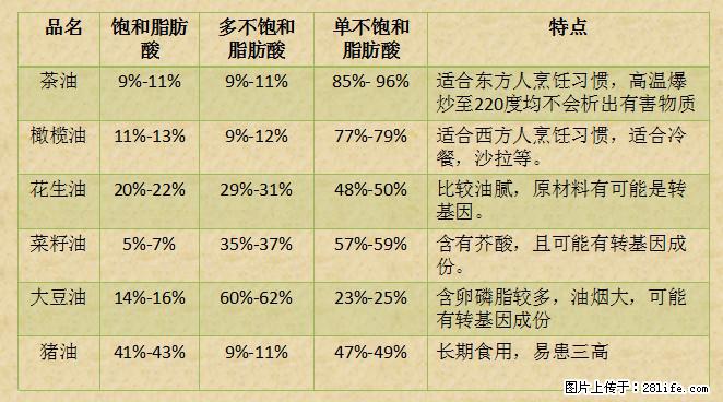揭秘茶油的5大核心营养成分！被称为人体健康的“守护盾”！ - 马鞍山生活资讯 - 马鞍山28生活网 mas.28life.net
