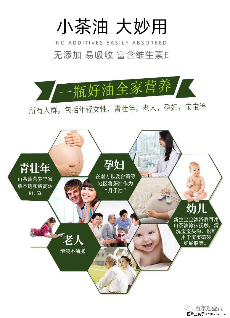 世界没有真相，只有认知，最好的食用油是中国的山茶油！ - 马鞍山生活资讯 - 马鞍山28生活网 mas.28life.net