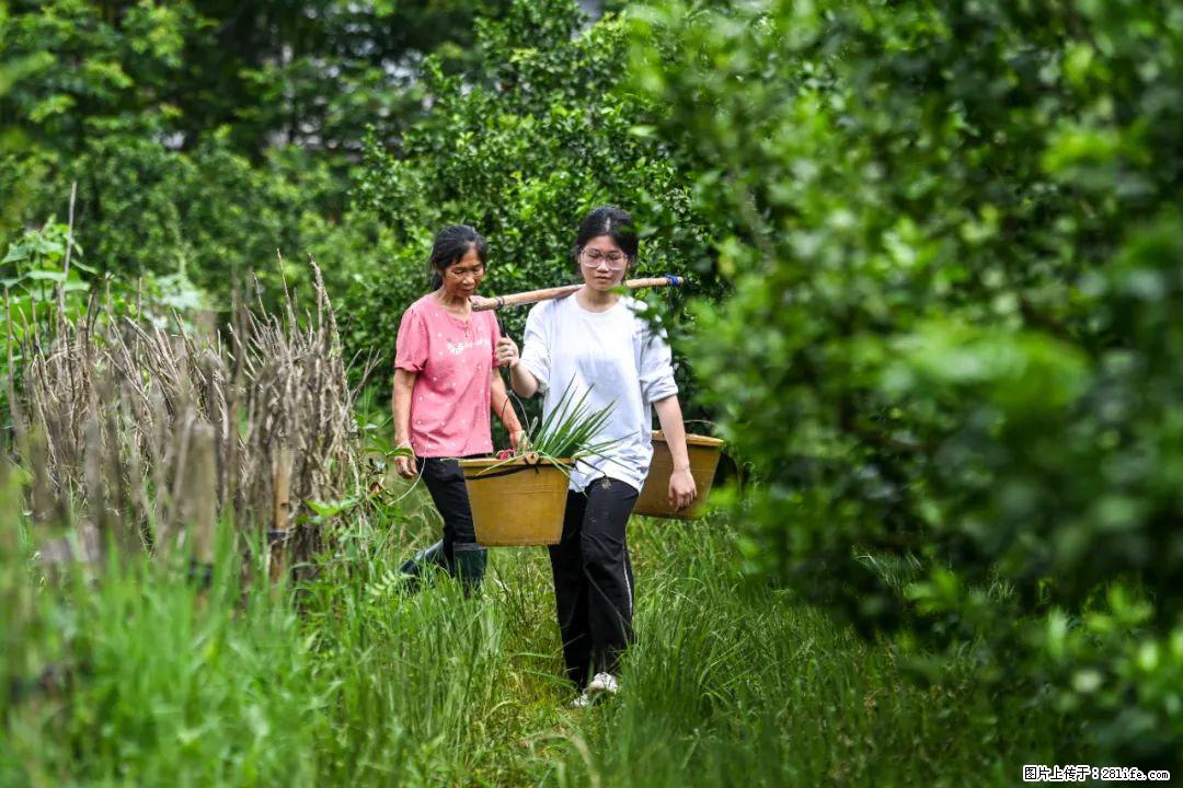 全网追的“扁担女孩”，找了一份暑假工，时薪12元 - 马鞍山生活资讯 - 马鞍山28生活网 mas.28life.net