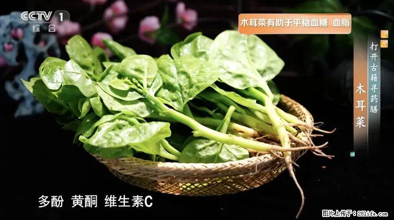 比牛奶补钙还厉害！凉血解毒、稳血糖...这菜冬天必吃，很多人却当草 - 马鞍山生活资讯 - 马鞍山28生活网 mas.28life.net