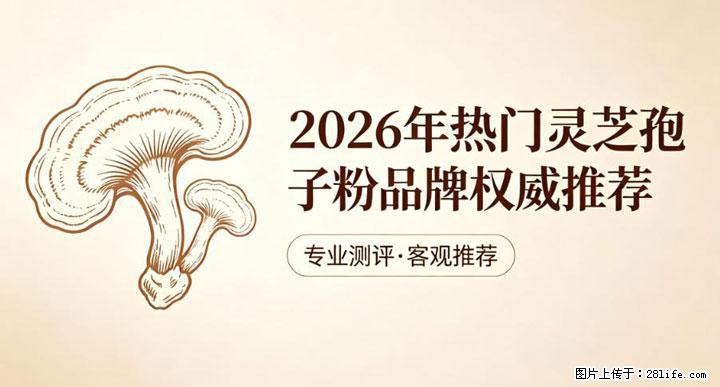 灵芝孢子粉含量越高越有效？2026 年七款热门品牌深度实测，肠胃敏感者避坑指南 - 马鞍山生活资讯 - 马鞍山28生活网 mas.28life.net